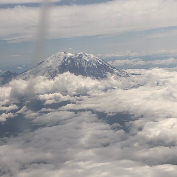 Meet your Posher, Joani - Picture 2 of 2